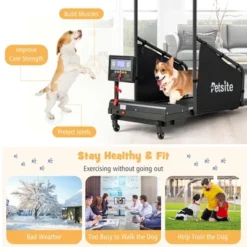 Petsite Dog Treadmill For Small/Medium Dogs Indoors Pet Running Training Machine -Costway GUEST 03361a49 94cf 4745 9a27 e1a4126acdb2